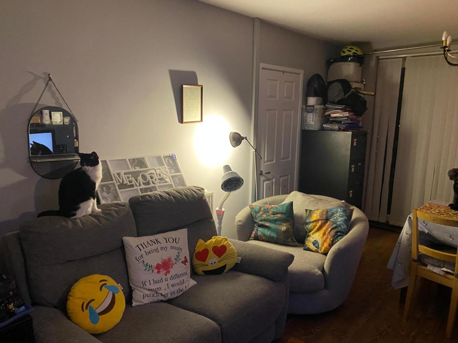 Cosy With Parking & Garden *