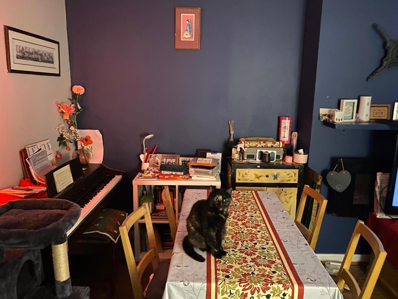 Cosy With Parking & Garden Hospedagem domiciliar Manchester